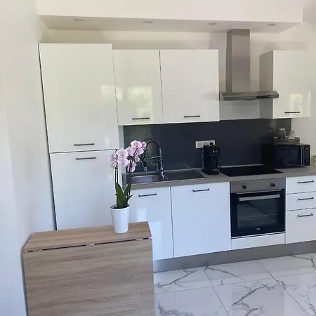 Climatise Avec Piscine Et Jardin Apartman Villeneuve-Loubet