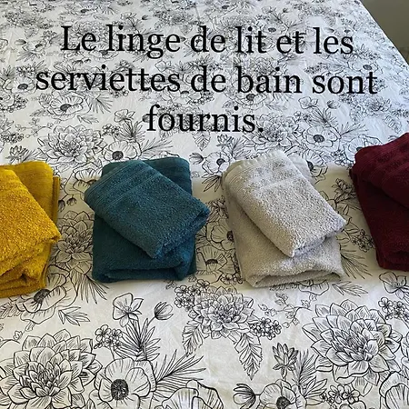 Climatise Avec Piscine Et Jardin Apartman