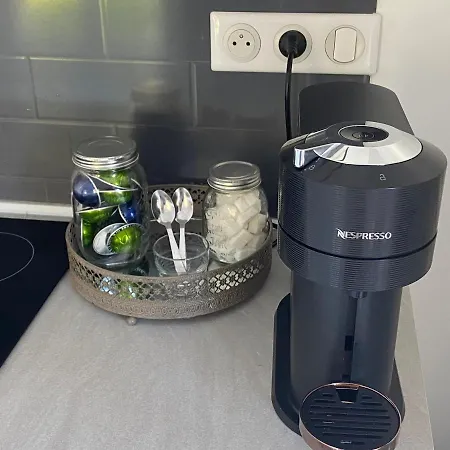 Climatise Avec Piscine Et Jardin