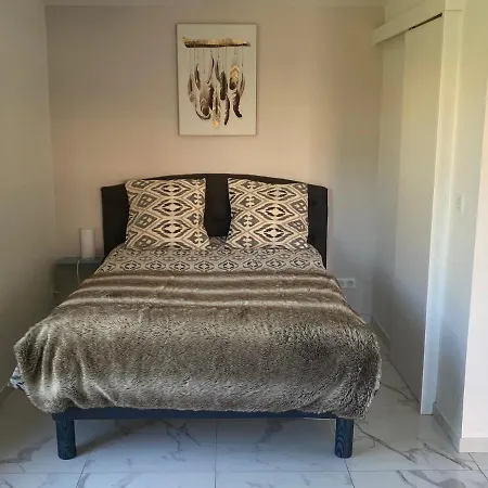 Climatise Avec Piscine Et Jardin